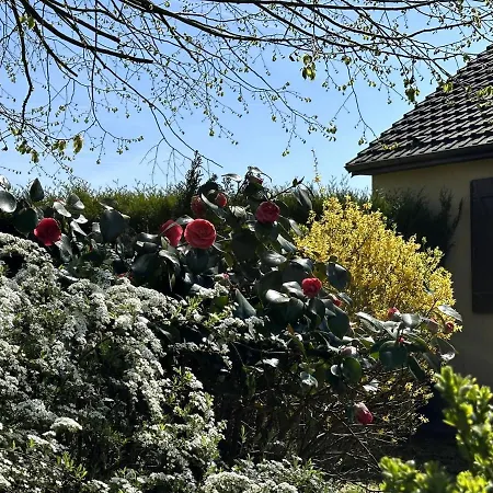 Masion De La Paix Et Nature