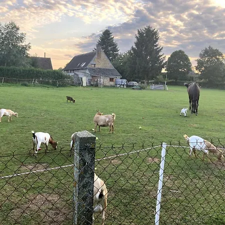Masion De La Paix Et Nature Saint-Maurice-les-Charencey