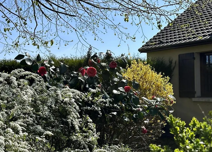 Masion De La Paix Et Nature