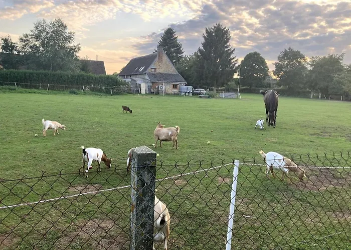 Masion De La Paix Et Nature Saint-Maurice-lès-Charencey